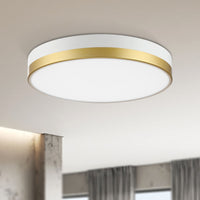 Luna Moons LED Flush Mount Ceiling Light 13" - 5CCT with Night Light, Remote Control