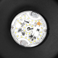 Nox Goose Neck Outdoor LED Wall Light 13" Black