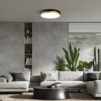 Luna Moons LED Flush Mount Ceiling Light 13" - 5CCT with Night Light, Remote Control