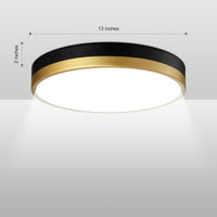 Luna Moons LED Flush Mount Ceiling Light 13" - 5CCT with Night Light, Remote Control