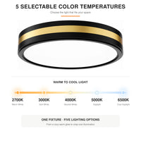Modern Black Gold Integrated LED 5 CCT Flush Mount Ceiling Light with Night Light for Bedroom Kitchen - 3 Size