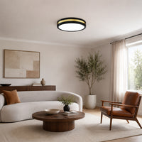 Modern Black Gold Integrated LED 5 CCT Flush Mount Ceiling Light with Night Light for Bedroom Kitchen - 3 Size